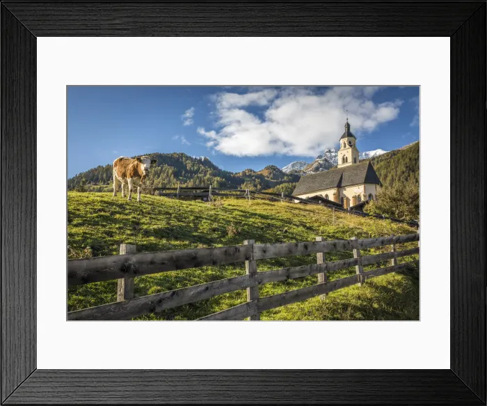 Framed Print : Cow pasture in Obermauern with pilgrimage church Maria Schnee, Virgen valley, East Tyrol Framed Print : Cow pasture in Obermauern with pilgrimage church Maria Schnee, Virgen valley, East Tyrol