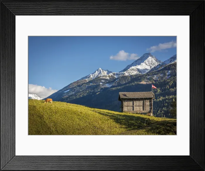 Framed Print : Cow pasture and hut in the Virgen valley near Obermauern, East Tyrol, Austria Framed Print : Cow pasture and hut in the Virgen valley near Obermauern, East Tyrol, Austria