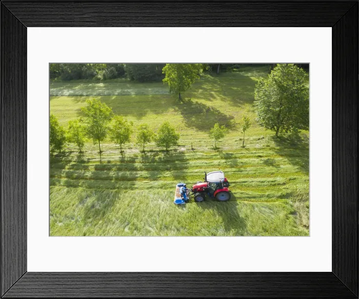 Framed Print : tractor in field cutting grass for hay, Valtellina, Sondrio Province, Lombardy, Italy Framed Print : tractor in field cutting grass for hay, Valtellina, Sondrio Province, Lombardy, Italy
