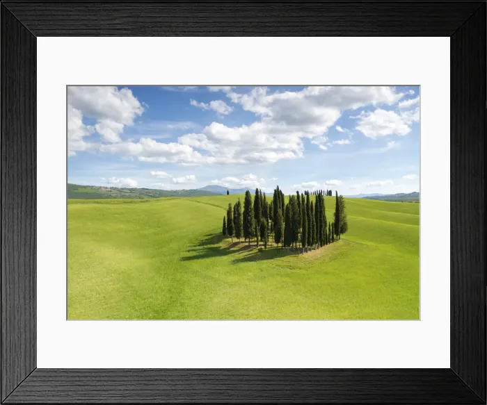 Framed Print : Cypresses of San Quirico d Orcia during a beautiful spring day, Siena province Framed Print : Cypresses of San Quirico d Orcia during a beautiful spring day, Siena province