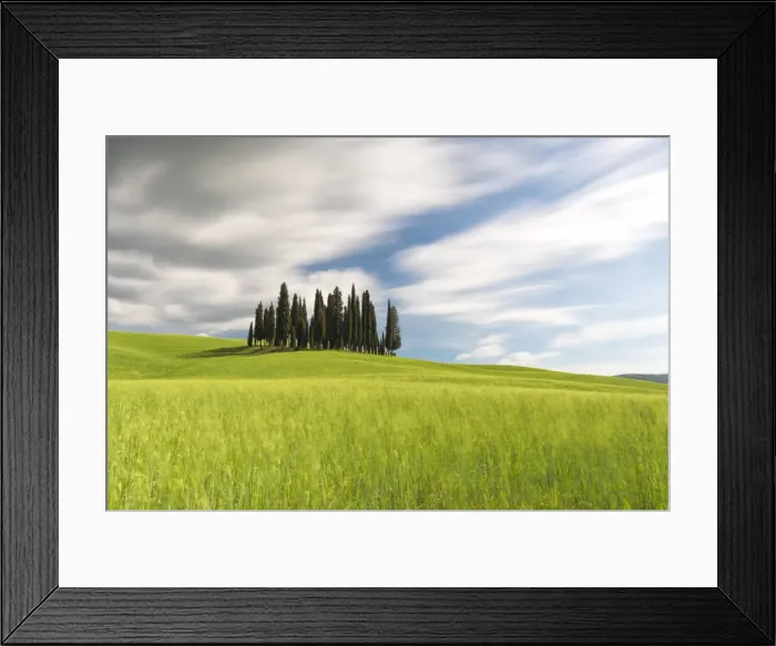 Framed Print : Cypresses of San Quirico d Orcia, Siena province, Tuscany district, Italy Framed Print : Cypresses of San Quirico d Orcia, Siena province, Tuscany district, Italy