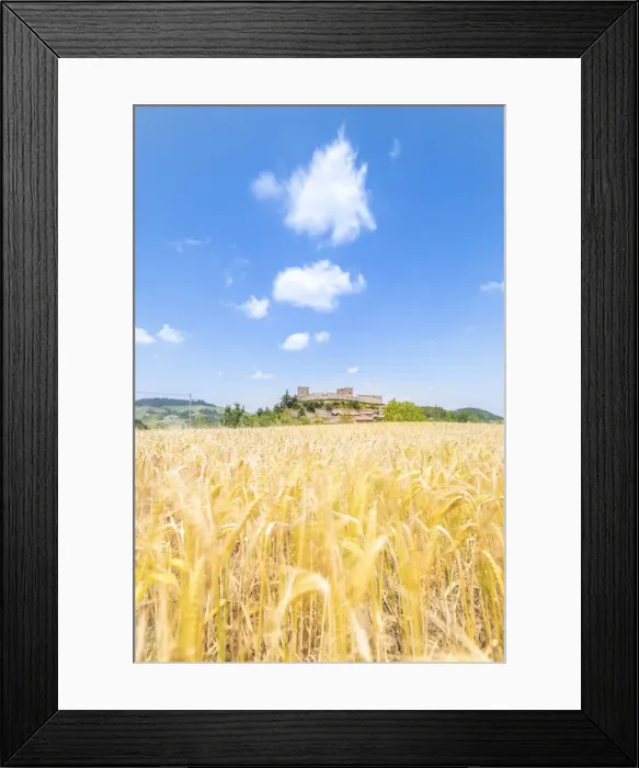 Framed Print : The castle of Montesegale, Oltrepo Pavese, province of Pavia, Apennines, Lombardy Framed Print : The castle of Montesegale, Oltrepo Pavese, province of Pavia, Apennines, Lombardy