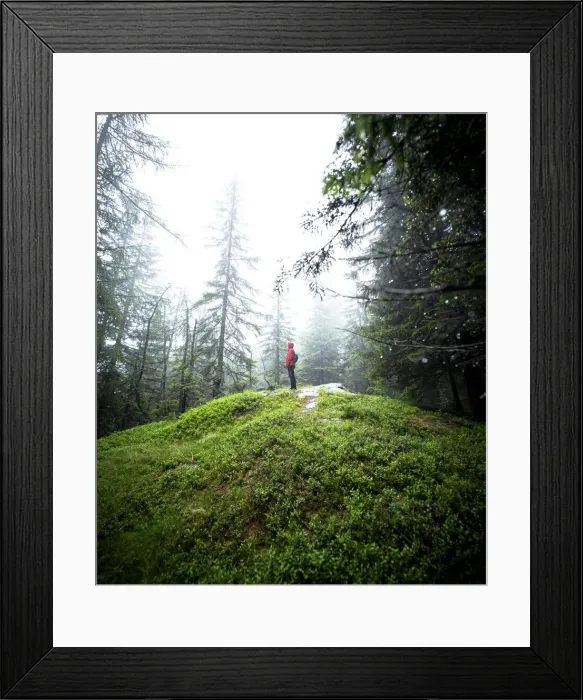 Framed Print : Foggy morning in the woods, Gualdera, Campodolcino, Spluga Valley, Sondrio province