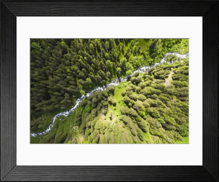 Framed Print : pine forest in Otro Valley (Alagna, Valsesia, Vercelli province, Piedmont, Italy) Framed Print : pine forest in Otro Valley (Alagna, Valsesia, Vercelli province, Piedmont, Italy)