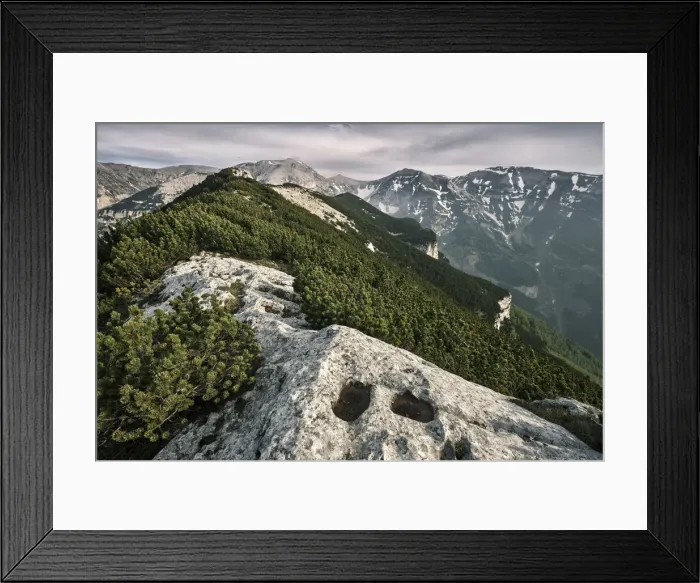 Framed Print : Mountain pine and limestone on the ridges of Maiella National Park - Abruzzo - Italy Framed Print : Mountain pine and limestone on the ridges of Maiella National Park - Abruzzo - Italy