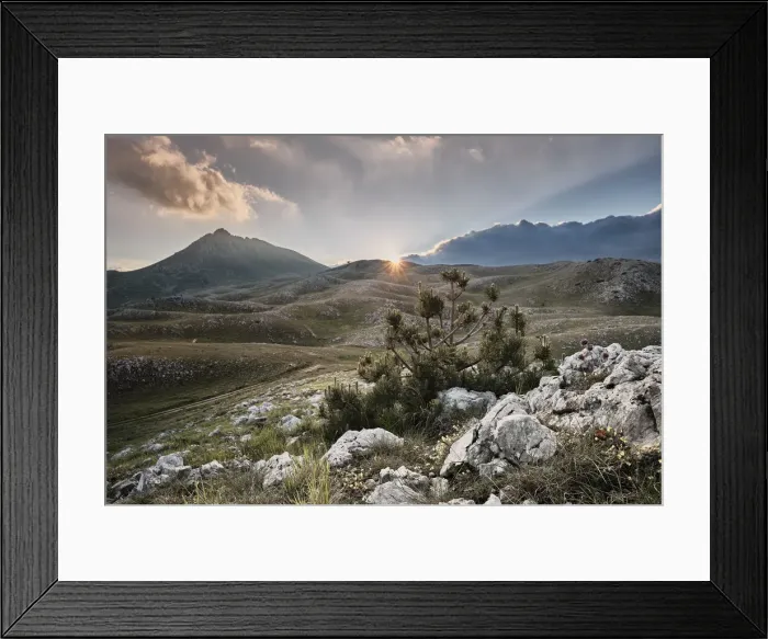 Framed Print : Sunburst sunset over Campo Imperatore and Mount Bolza with a solitary pine - Gran Sasso