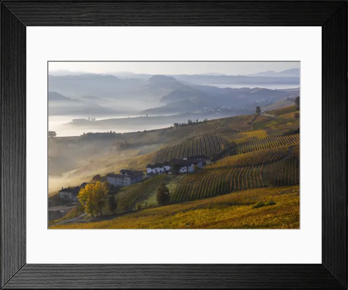Framed Print : Vineyards around La Morra during autumn at sunrise, Cuneo, Langhe e Roero, Piedmont Framed Print : Vineyards around La Morra during autumn at sunrise, Cuneo, Langhe e Roero, Piedmont
