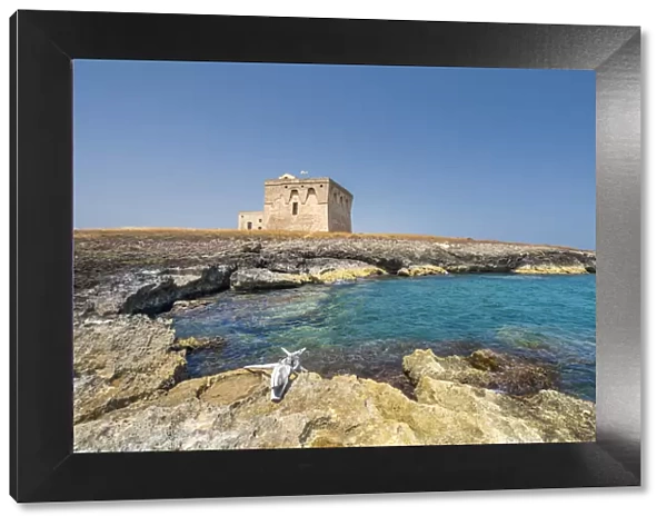 Carovigno, Brindisi province, Apulia, Italy. The Guaceto tower in the Nature reserve of