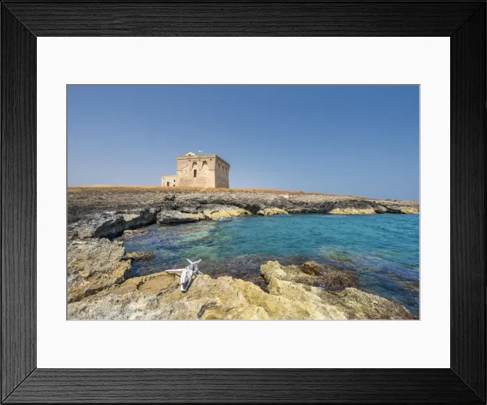 Framed Print : Carovigno, Brindisi province, Apulia, Italy. The Guaceto tower in the Nature reserve of Framed Print : Carovigno, Brindisi province, Apulia, Italy. The Guaceto tower in the Nature reserve of