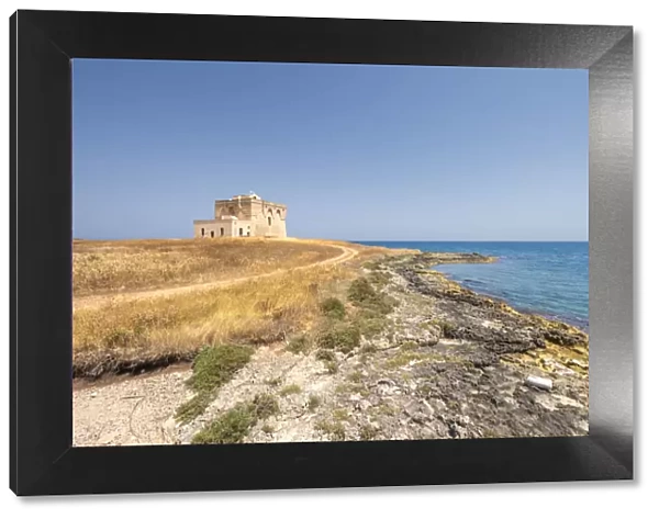 Carovigno, Brindisi province, Apulia, Italy. The Guaceto tower in the Nature reserve of