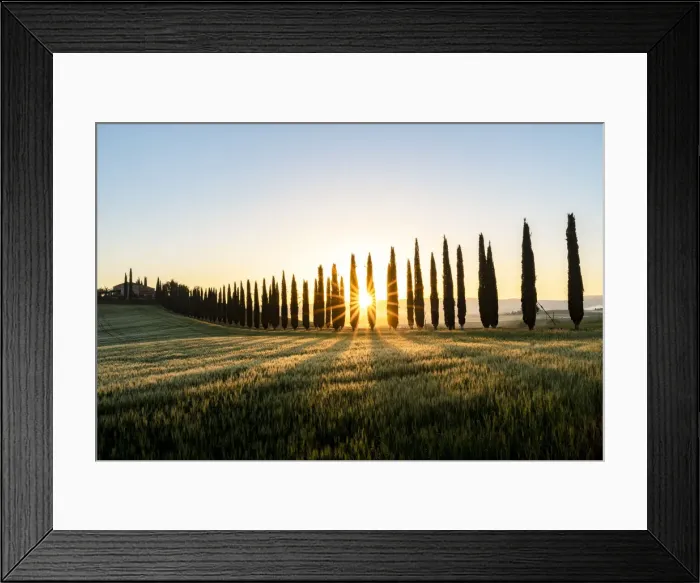 Framed Print : Italy, Tuscany, Val d orcia: the Sun rises over the Poggio Covili farm