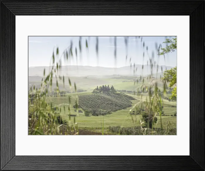 Framed Print : Italy, Tuscany, Val d Orcia: Podere Belvedere at morning from a non classical spot Framed Print : Italy, Tuscany, Val d Orcia: Podere Belvedere at morning from a non classical spot