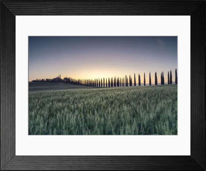 Framed Print : Italy, Tuscany, Val d Orcia: the first lights on Poggio Covili Framed Print : Italy, Tuscany, Val d Orcia: the first lights on Poggio Covili