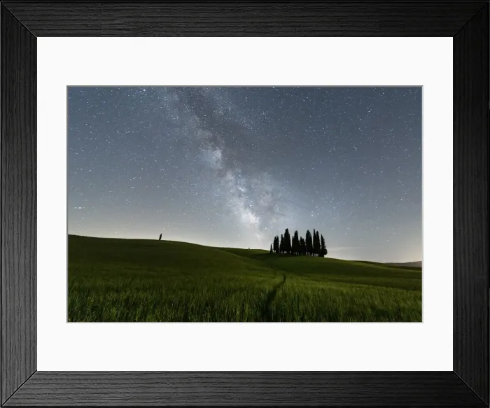 Framed Print : Italy, Tuscany, Val d Orcia: San Quiricos cypresses Framed Print : Italy, Tuscany, Val d Orcia: San Quiricos cypresses