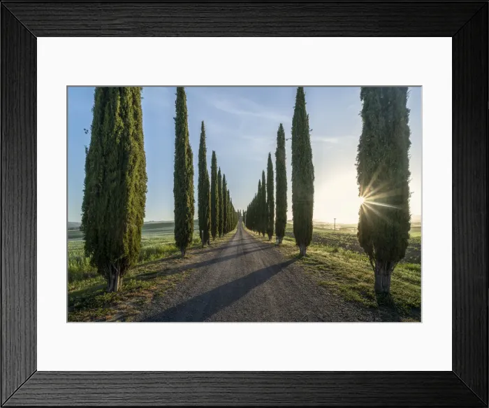 Framed Print : Italy, Tuscany, Val d Orcia: sunburnst at morning at Poggio Covili Framed Print : Italy, Tuscany, Val d Orcia: sunburnst at morning at Poggio Covili