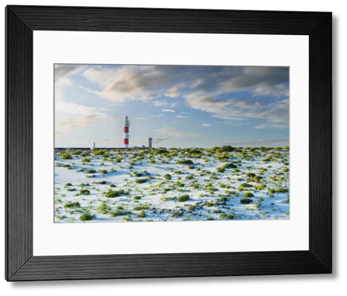 Framed Print : El Toston lighthouse in between desert and ocean, El Cotillo, La Oliva, Fuerteventura Framed Print : El Toston lighthouse in between desert and ocean, El Cotillo, La Oliva, Fuerteventura