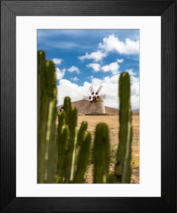 Framed Print : Green cactus with traditional windmill on background, Fuerteventura, Canary Islands Framed Print : Green cactus with traditional windmill on background, Fuerteventura, Canary Islands