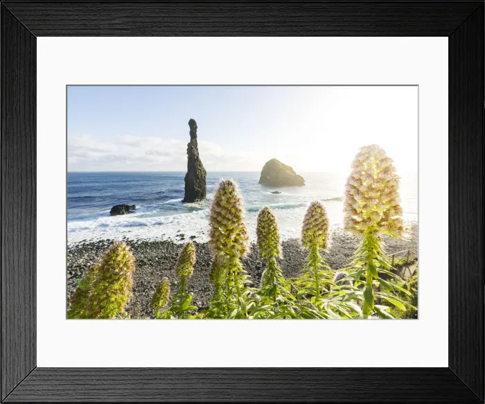 Framed Print : Sea stack rocks Ilheus da Rib and Ribeira da Janela, Porto Moniz, Madeira island Framed Print : Sea stack rocks Ilheus da Rib and Ribeira da Janela, Porto Moniz, Madeira island
