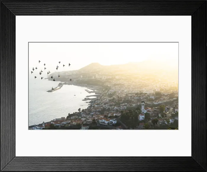 Framed Print : Birds flying over Sao Goncalo church and Funchal city at sunset, Madeira island, Portugal Framed Print : Birds flying over Sao Goncalo church and Funchal city at sunset, Madeira island, Portugal