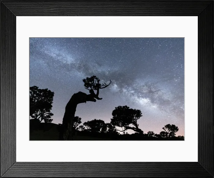 Framed Print : Laurel trees in Fanal forest under the Milky Way, Madeira island, Portugal Framed Print : Laurel trees in Fanal forest under the Milky Way, Madeira island, Portugal