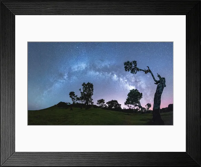 Framed Print : Silhouettes of trees under the Milky Way arch in the starry night sky, Fanal forest Framed Print : Silhouettes of trees under the Milky Way arch in the starry night sky, Fanal forest