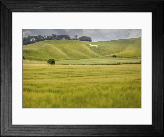 Framed Print : Cherill White Horse, Wiltshire, England Framed Print : Cherill White Horse, Wiltshire, England