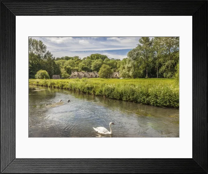 Framed Print : River Coln in Bibury, Cotswolds, Gloucestershire, England Framed Print : River Coln in Bibury, Cotswolds, Gloucestershire, England