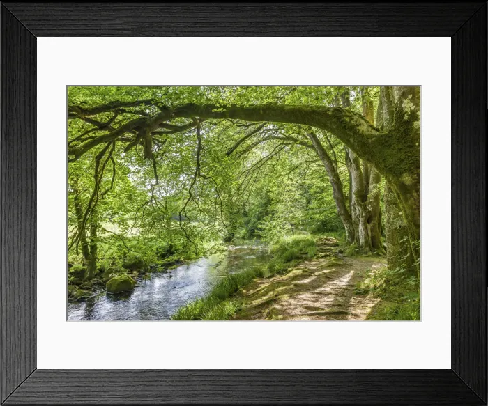Framed Print : Fowey River St Neots, Bodmin Moor, Cornwall, England Framed Print : Fowey River St Neots, Bodmin Moor, Cornwall, England