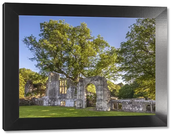 Slaugham Abbey Ruin, West Sussex, England