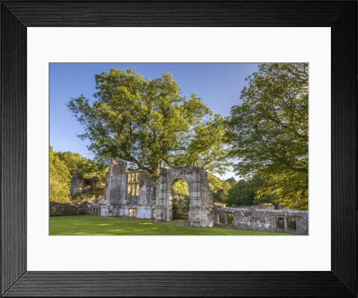 Framed Print : Slaugham Abbey Ruin, West Sussex, England Framed Print : Slaugham Abbey Ruin, West Sussex, England