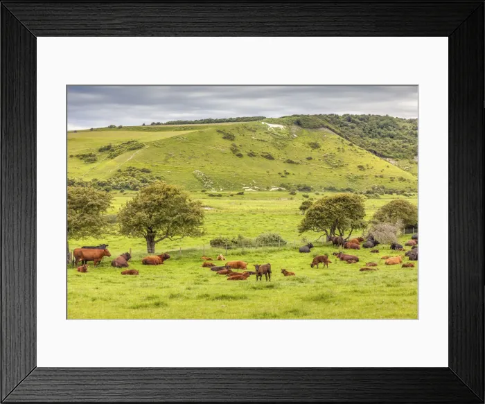Framed Print : Alfriston White Horse, East Sussex, England Framed Print : Alfriston White Horse, East Sussex, England