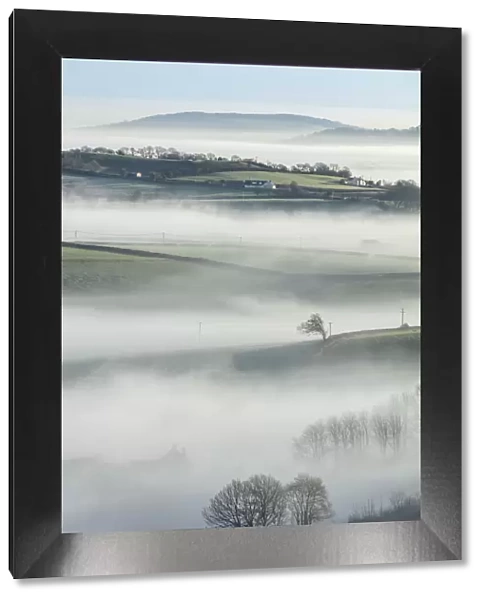 Morning mist around Broadwindsor, Marshwood Vale, Dorset, England, UK