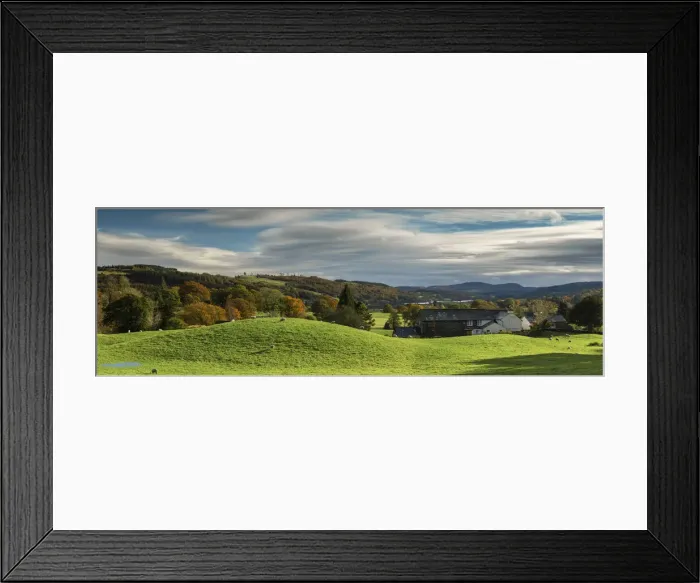 Framed Print : Grazing Sheep & Farmhouse, Lake District National Park, Cumbria, England Framed Print : Grazing Sheep & Farmhouse, Lake District National Park, Cumbria, England