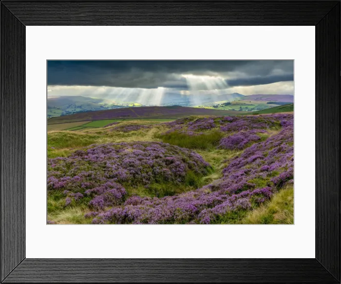 Framed Print : Sunrays over Hope Valley with Blooming Heather, Peak District National Park, Derbyshire Framed Print : Sunrays over Hope Valley with Blooming Heather, Peak District National Park, Derbyshire