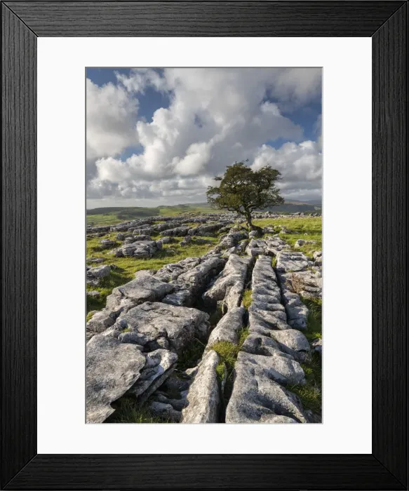 Framed Print : Limestone pavement and lone hawthorn tree at Winskill Stones