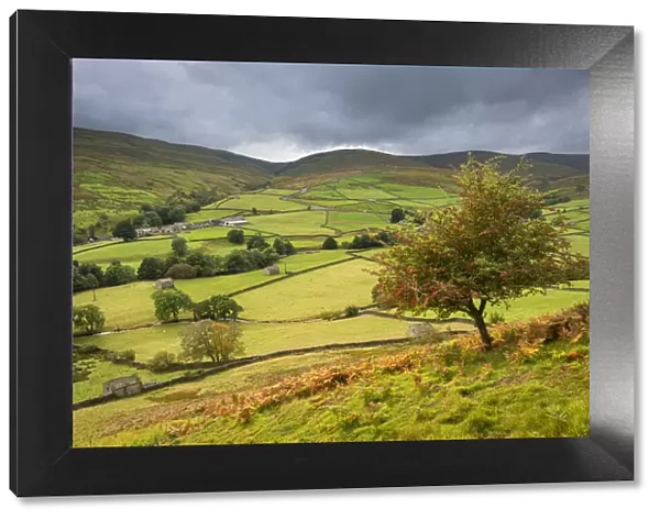 View over rolling countryside in Swaledale, Yorkshire Dales National Park