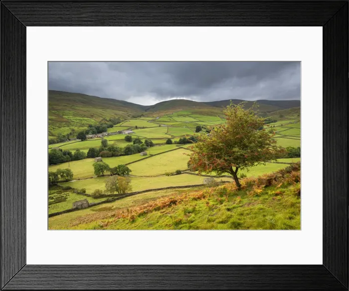 Framed Print : View over rolling countryside in Swaledale, Yorkshire Dales National Park Framed Print : View over rolling countryside in Swaledale, Yorkshire Dales National Park