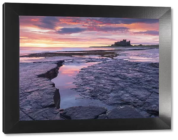 Sunrise over Bamburgh Castle from the rocky shores of Bamburgh Beach, Northumberland