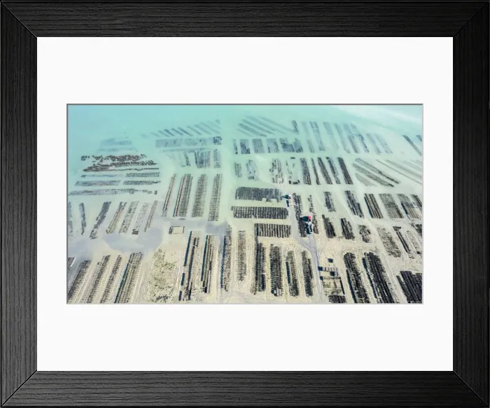 Framed Print : France, Ille et Vilaine, Emerald Coast, Cancale, the oyster beds Framed Print : France, Ille et Vilaine, Emerald Coast, Cancale, the oyster beds