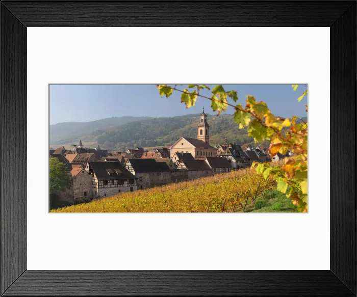 Framed Print : Vineyards around Riquewhir in autumn; Alsace, Alsatian Wine Route, Haut-Rhin, France Framed Print : Vineyards around Riquewhir in autumn; Alsace, Alsatian Wine Route, Haut-Rhin, France