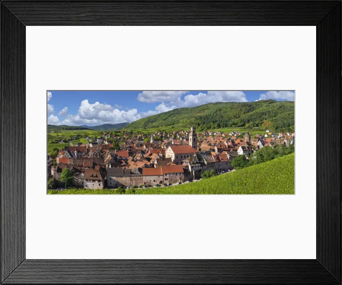 Framed Print : Vineyards around Riquewhir; Alsace, Alsatian Wine Route, Haut-Rhin, France Framed Print : Vineyards around Riquewhir; Alsace, Alsatian Wine Route, Haut-Rhin, France