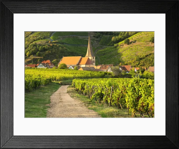 Framed Print : Church and vineyards, Rodern, Alsace, Alsatian Wine Route, Haut-Rhin, France Framed Print : Church and vineyards, Rodern, Alsace, Alsatian Wine Route, Haut-Rhin, France
