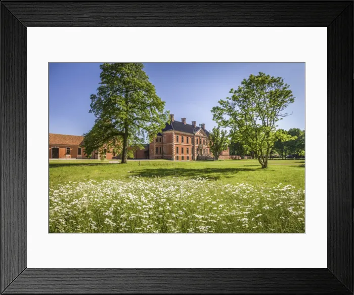 Framed Print : Flower meadow in the park of Bothmer Castle in Kluetz, Mecklenburg-Western Pomerania, Northern Germany, Germany