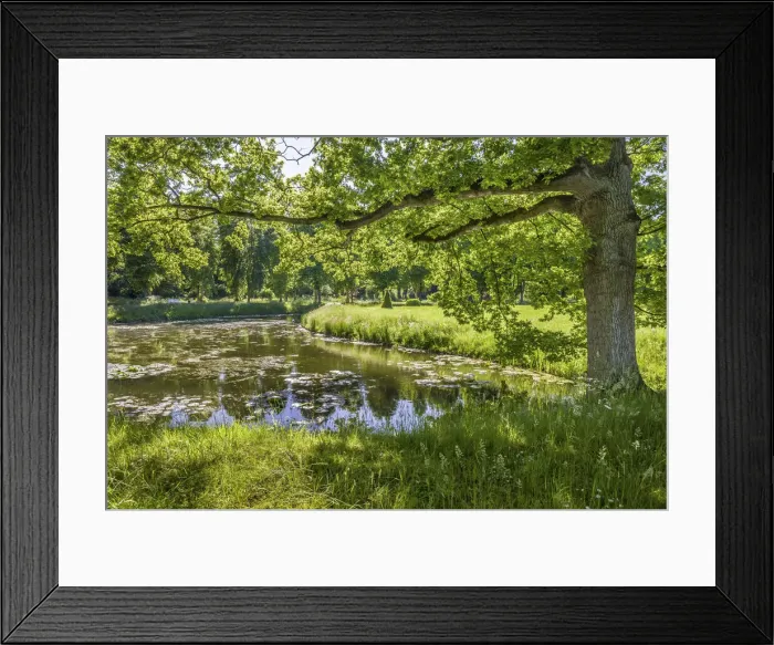 Framed Print : Park of Bothmer Castle in Kluetz, Mecklenburg-Western Pomerania, Northern Germany, Germany
