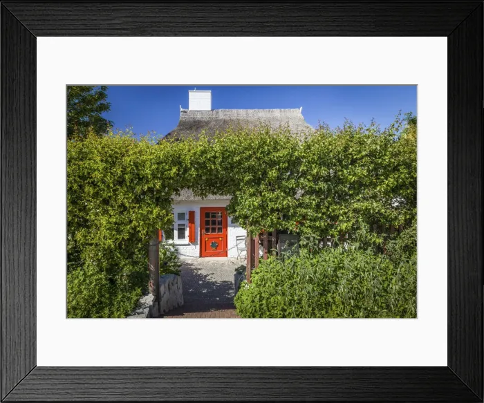 Framed Print : Historic dyke house in Ahrenshoop, Mecklenburg-Western Pomerania, Northern Germany Framed Print : Historic dyke house in Ahrenshoop, Mecklenburg-Western Pomerania, Northern Germany