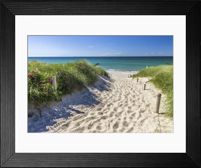 Framed Print : Path to the beach in Ahrenshoop, Mecklenburg-Western Pomerania, Northern Germany, Germany Framed Print : Path to the beach in Ahrenshoop, Mecklenburg-Western Pomerania, Northern Germany, Germany
