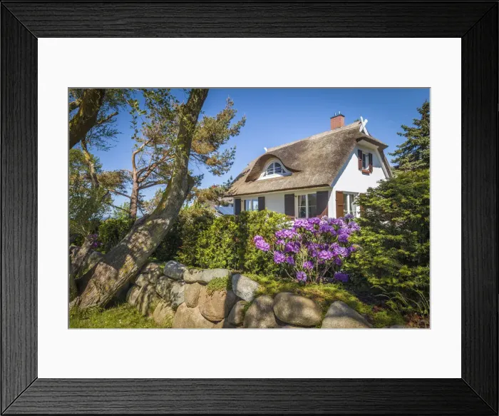 Framed Print : Idyllic thatched-roof house in Ahrenshoop, Mecklenburg-Western Pomerania Framed Print : Idyllic thatched-roof house in Ahrenshoop, Mecklenburg-Western Pomerania