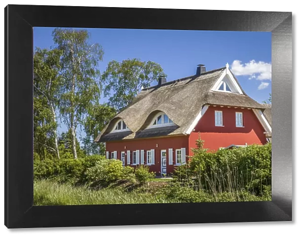 Traditional thatched roof house in the port of Prerow, Mecklenburg-Western Pomerania