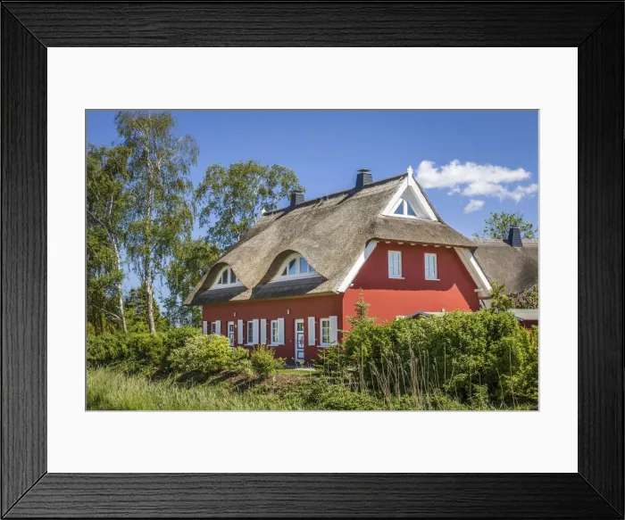 Framed Print : Traditional thatched roof house in the port of Prerow, Mecklenburg-Western Pomerania Framed Print : Traditional thatched roof house in the port of Prerow, Mecklenburg-Western Pomerania