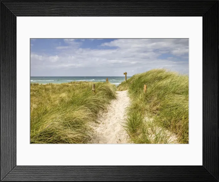 Framed Print : Path to the beach at Darsser Ort, Mecklenburg-Western Pomerania, Northern Germany Framed Print : Path to the beach at Darsser Ort, Mecklenburg-Western Pomerania, Northern Germany